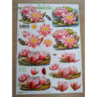 Le Suh 3D-knipvellen